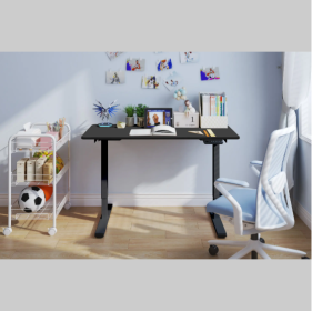 Electric Standing Desk Dual Motor Adjustable Height Desk Home Office Computer Workstation Sit Stand Up Desk,48 X 24 Inches (Color: Black)